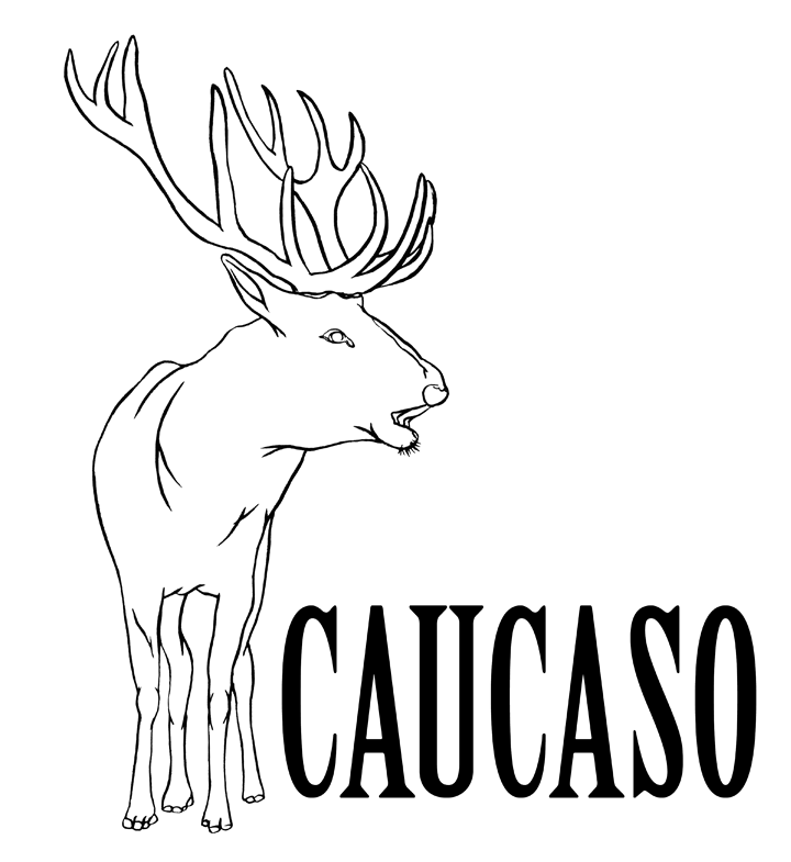 caucaso associazione culturale