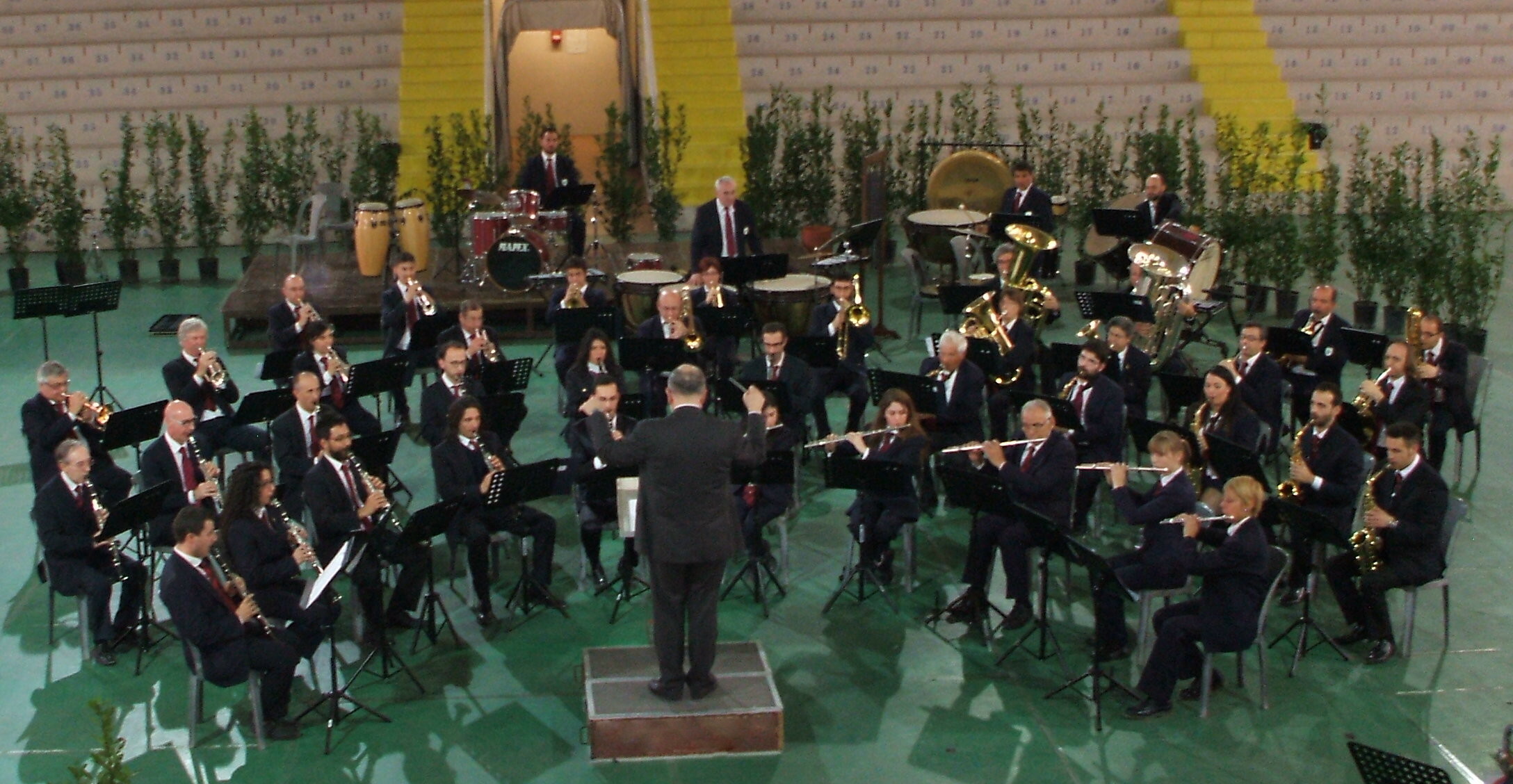 Banda Puccini, Bologna