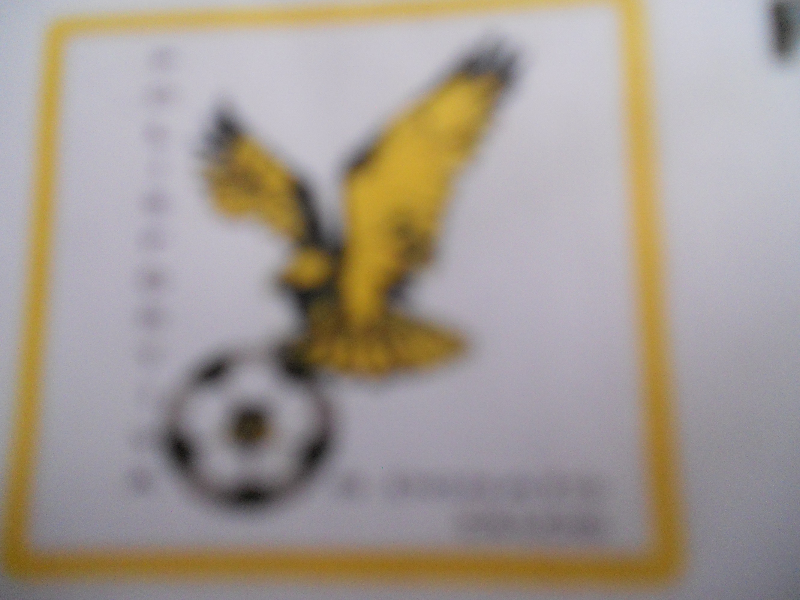 calcio dai 5 ai ..........anni