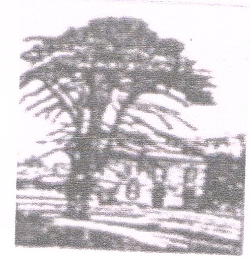 Centro Sociale e Culturale Villa Paradiso