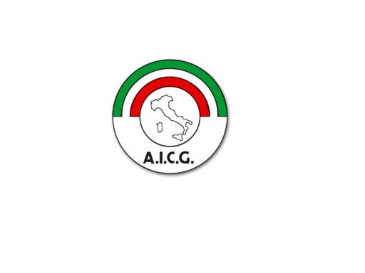 logo Associazione Italiana Ciechi di Guerra ONLUS Sez. Emiliano-Romagnola