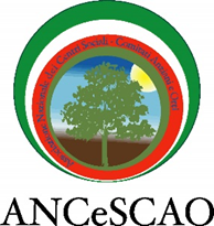 quercia contornata da colori bandiera italiana
