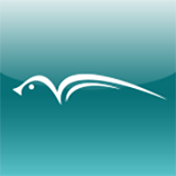 Logo Arcanto