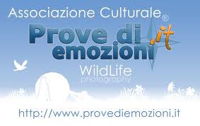 provediemozioni.it
