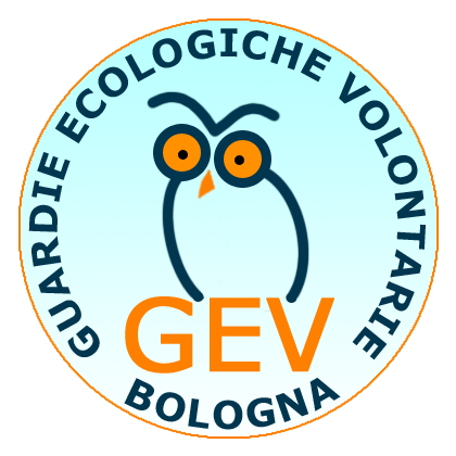 C.P.G.E.V. BOLOGNA