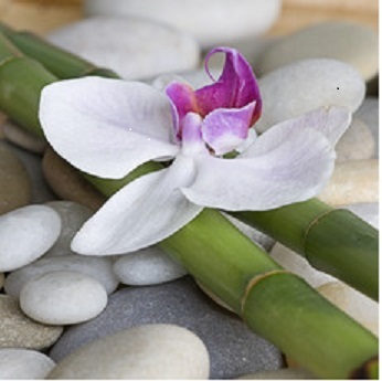 Divulgazione di tecniche olistiche per il benessere. ThetaHealing®