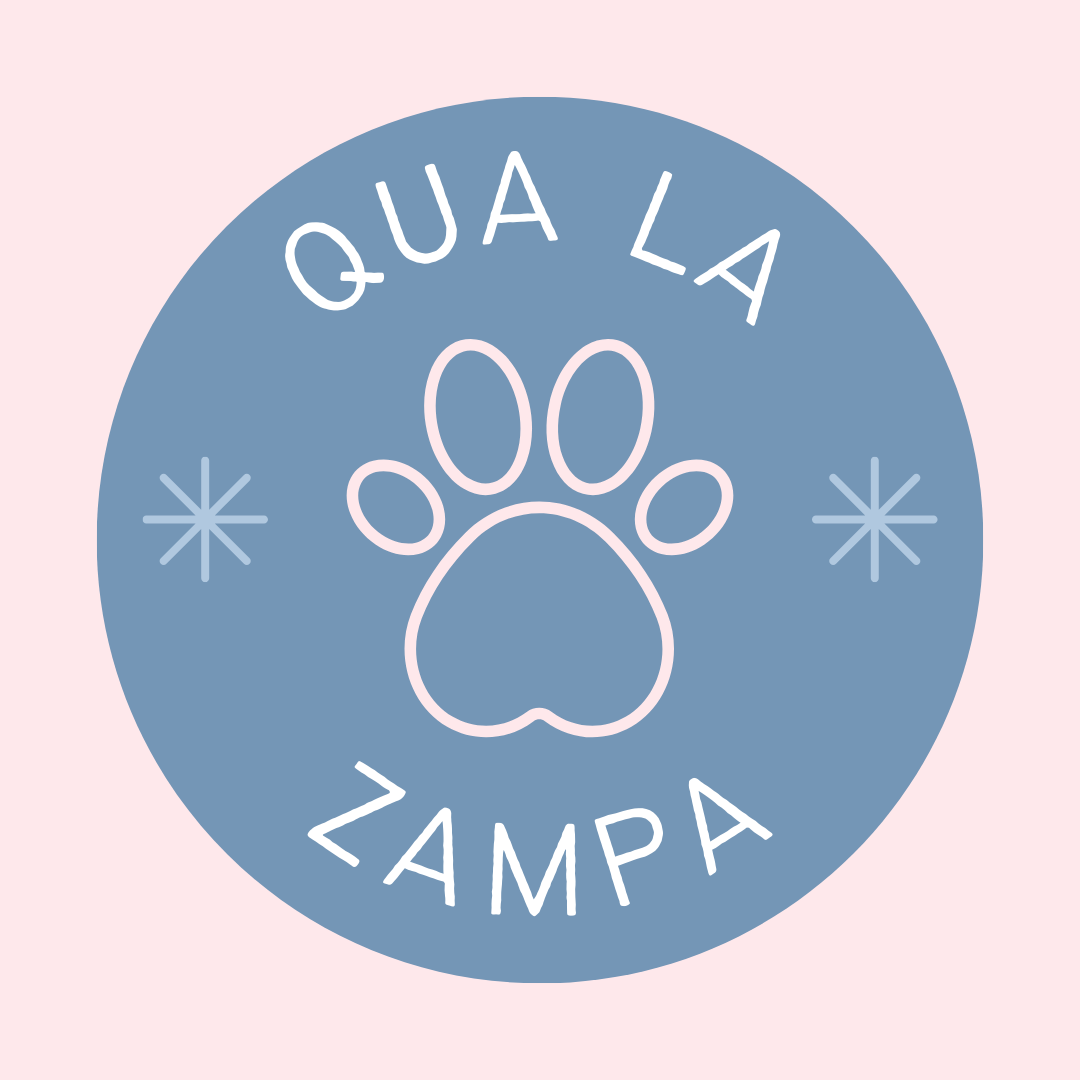Qua la zampa