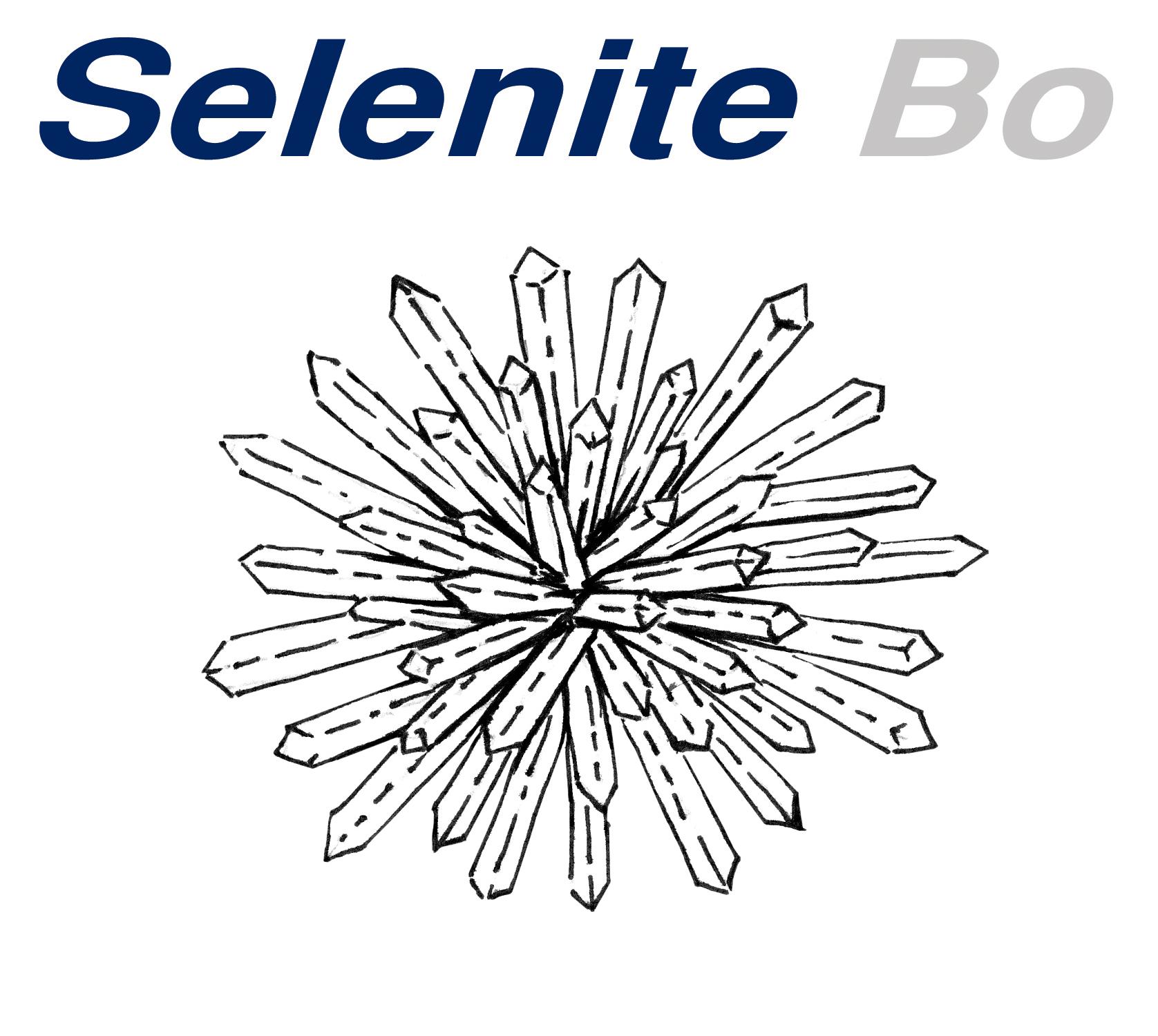 Associazione SELENITE
