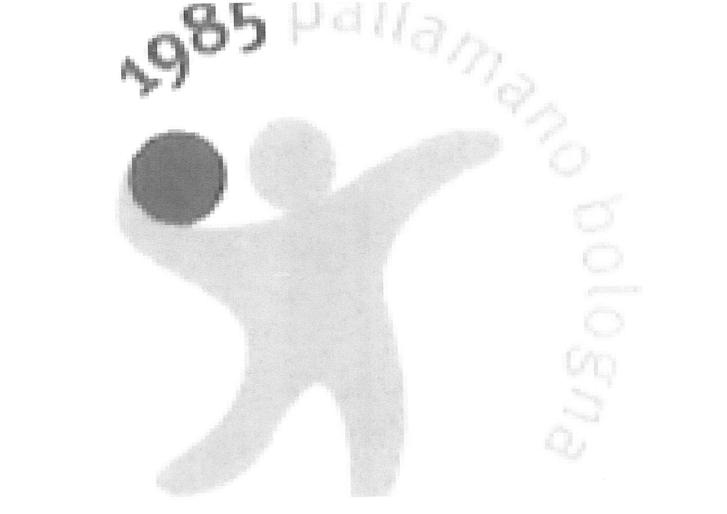 1985 pallamano bologna