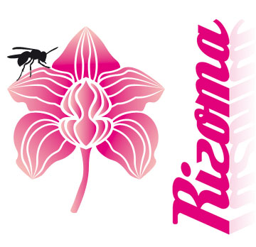 Rizoma Bologna