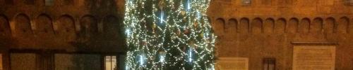 Immagine per L'albero di Natale storto