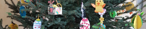 Albero 