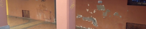 foto attività