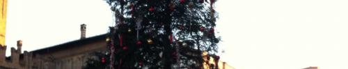 Immagine per Famiglia bolognese 2.0 e l’albero di Natale 