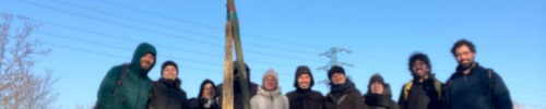 foto attività albero