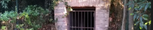 Ingresso ghiacciaia