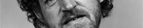 Immagine per Tributo a Joe Cocker