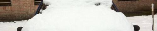 Immagine per Grazie Nevone