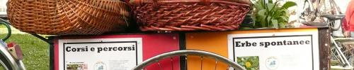 Borgo Alice