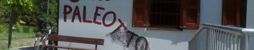 progetto Paleotto