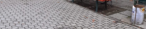 foto attività