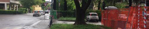 aiuola foto