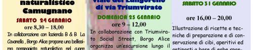 Immagine per DA BORGO ALICE :RINVIO  INIZIATIVA "I COLORI D'AUTUNNO" 