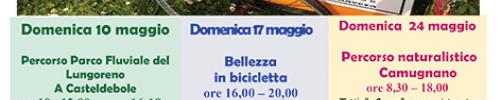 https://www.flickr.com/photos/131942655@N02/17319814141/in/set-72157652266710731