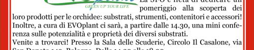 Società Felsinea di Orchidofilia