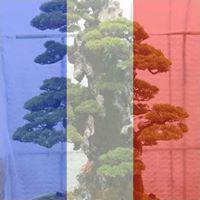 Ritratto di Laura Da Canal