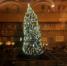 Immagine per L'albero di Natale storto