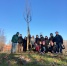 foto attività albero