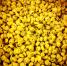 Immagine per Postare tortellini su Facebook