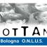 ADOTTANDO Bologna ONLUS