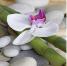 Divulgazione di tecniche olistiche per il benessere. ThetaHealing®