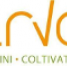 Immagine per ARVAIA