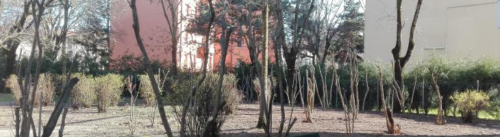 sistemazione giardino
