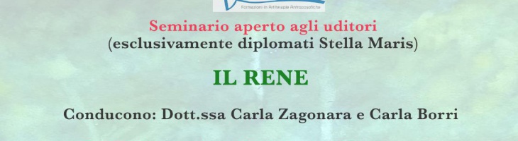 Seminario aperto agli uditori – pittura con serie terapeutiche e medicina TEMA:“IL RENE”