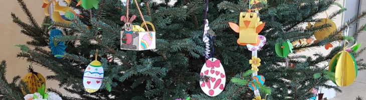 Albero