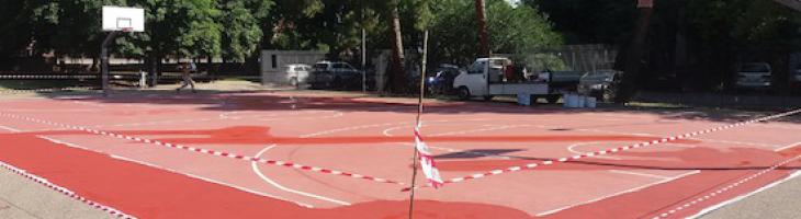campo basket