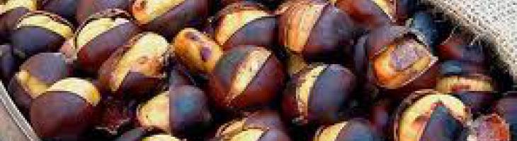 Castagne arrosto