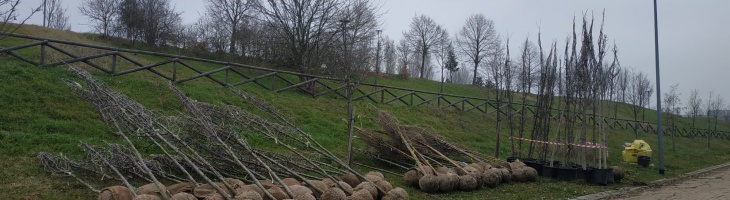 foto attività