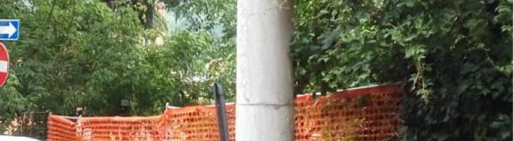colonna