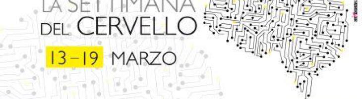 cervello