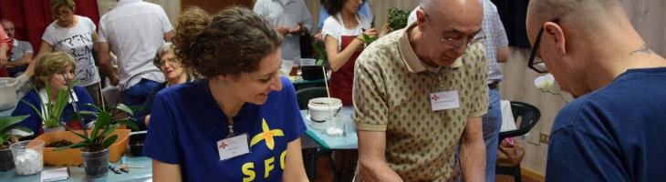 Società Felsinea di Orchidofilia