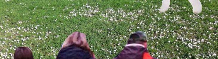 Immagine per La famiglia bolognese 2.0 e la primavera 