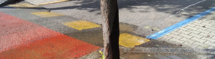 foto attività