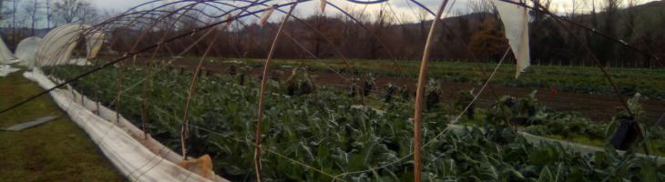 Una delle strutture danneggiate