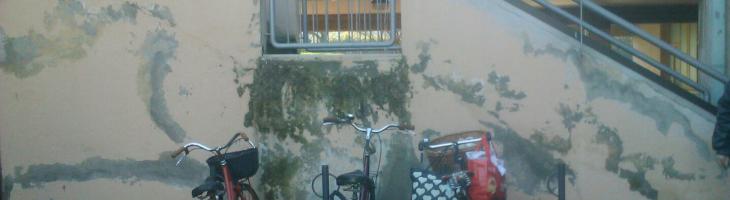 Il muro prima della realizzazione del murale