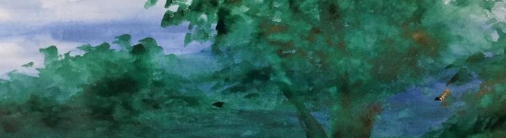 Viaggiamo nell’inconscio: il significato del bosco nelle fiabe